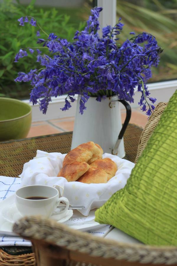 Ty Llwyd Bed and Breakfast Treffynnon Buitenkant foto